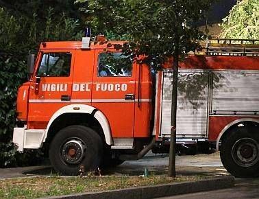 Sesto San Giovanni, uccello impigliato nella rete di un balcone: intervengono i Vigili del Fuoco vigilidelfuoco