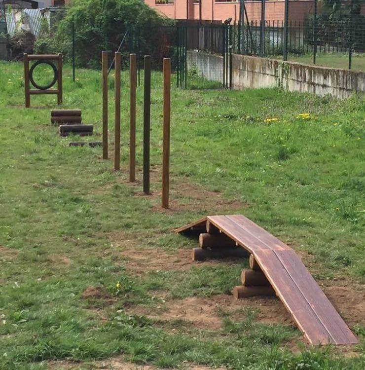 A Uboldo un cane ogni 2,5 famiglie: “Urgente l’area cani” IMG 0271