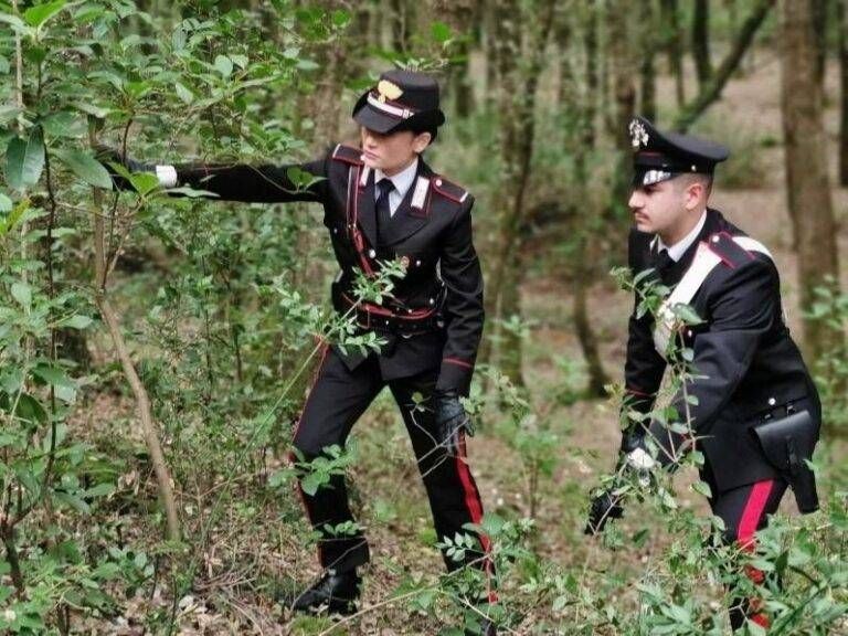 Carabinieri nel Parco delle Groane tra Lazzate, Misinto e Lentate sul Seveso: denunce, sanzioni e segnalazioni carabinieri bosco