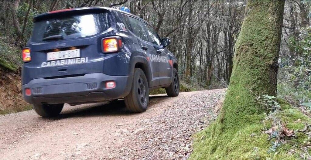 Bollate, si allontana da casa, donna di 74 anni trovata in un fossato nel Parco delle Groane donna parco groane