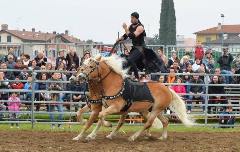 Torna la Fiera di Origgio, il programma di oggi e domani fiera cavallo 768x487