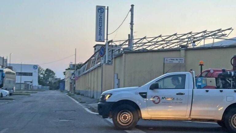 Torna l’allarme Dengue a Paderno Dugnano, interventi di bonifica, ecco le zone dengue paderno