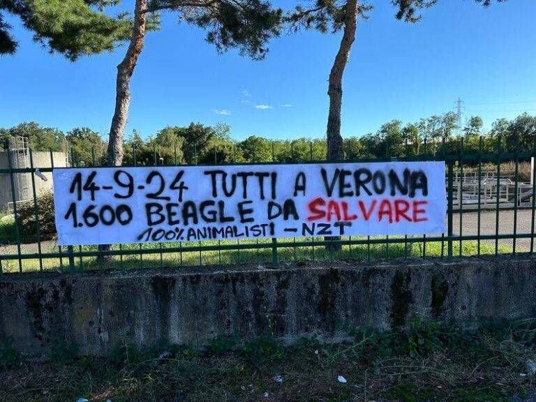 Striscioni di protesta degli animalisti tra Saronno e Rescaldina, appuntamento a Verona Saronno animalisti Verona