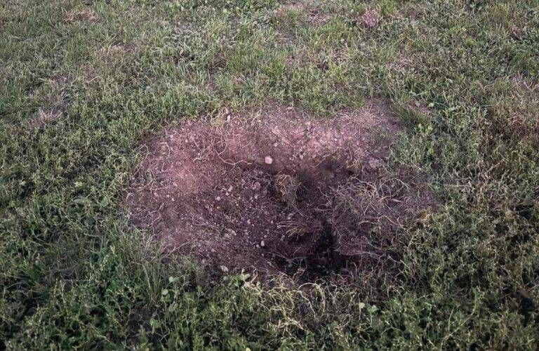 Bollate, buca nell’area cani, uomo si rompe il tendine e chiede il risarcimento al Comune Bollate rompe tendine buca