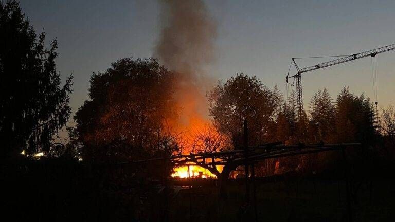 Incendio a Paderno, fumo visibile dalla tangenziale Nord: fiamme in un orto IMG 0973 scaled 1 768x432