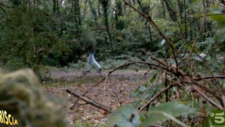 Spaccio e mancata manutenzione, sindaco di Cogliate contro il Parco Groane spaccio parco groane
