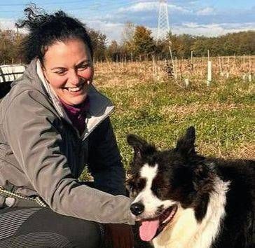 Novate, petizione in ricordo di Stella, la cagnolina uccisa Novate petizione cagnolina uccisa