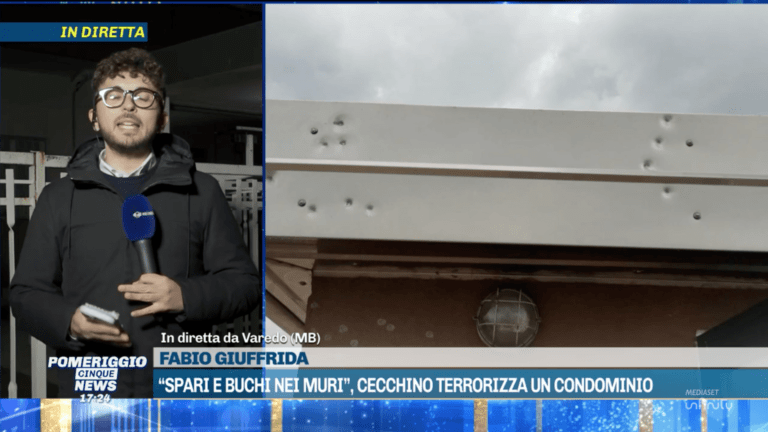 pomeriggio 5 varedo cecchino 768x432