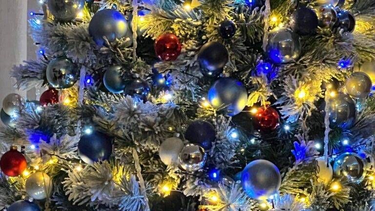 Quando smontare l’albero di Natale e il presepe? Spoiler: non all’Epifania IMG 3555 scaled 1 768x432