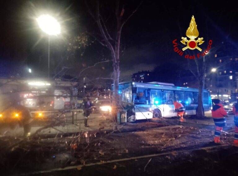 Malore del conducente, autobus contro un albero a Milano, 9 feriti milano autobus albero