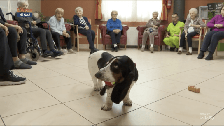 L’Arca di Noè a Gerenzano: Ella e i sorrisi in corsia al Villaggio Amico | VIDEO arca noe gerenzano 768x433