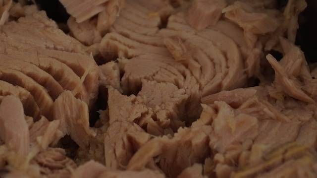 Cento posti di lavoro per il tonno in scatola, Rio Mare investe a Cermenate tonno scatola lavoro