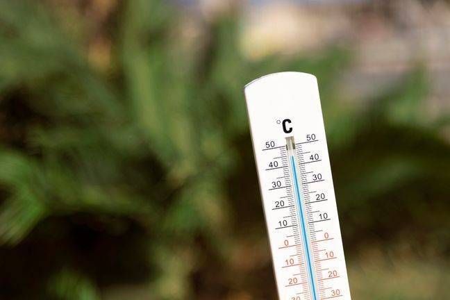 E’ stato davvero il gennaio più caldo? freddo caldo termometro