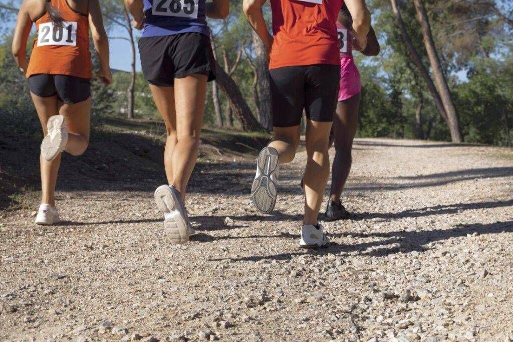 EVENTI WEEK-END – Dalla “Bollate Run” nel Parco delle Groane al concerto di S. Valentino ad Arese corsa campestre 1024x682