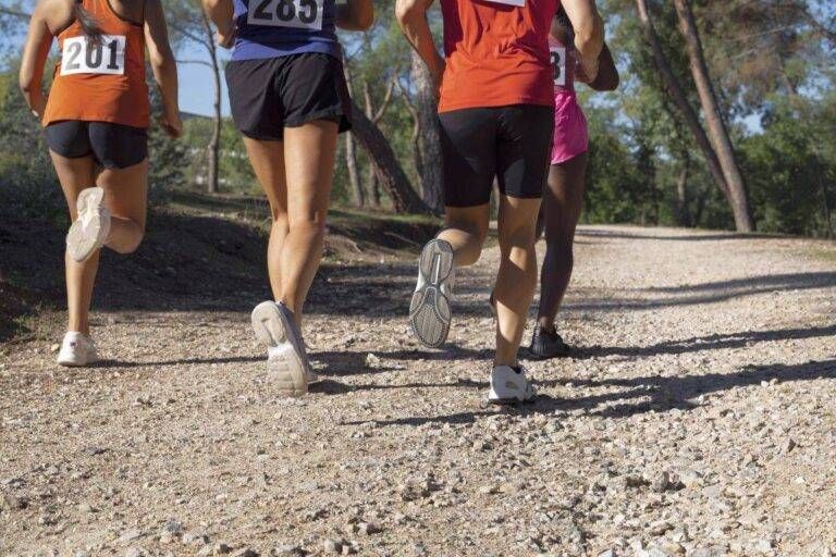 EVENTI WEEK-END – Dalla “Bollate Run” nel Parco delle Groane al concerto di S. Valentino ad Arese corsa campestre 768x512