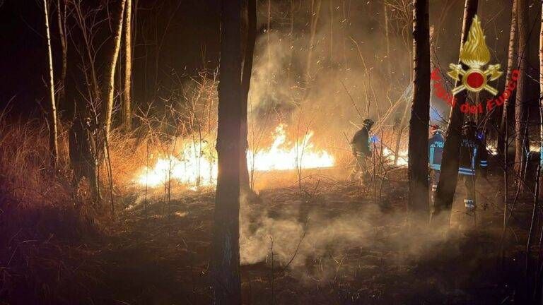 Parco delle Groane, incendio nei boschi tra Cogliate e Misinto incendio Parco Cogliate