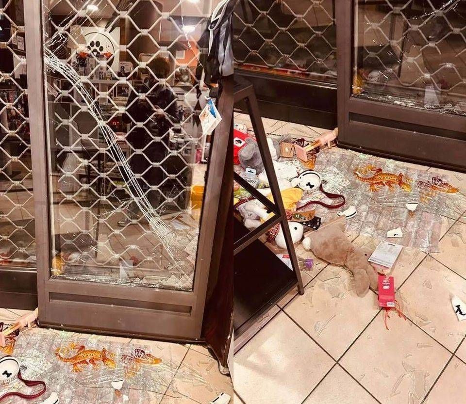 Novate Milanese, assalto notturno al negozio di animali, danni ingenti | VIDEO Spaccata novate negozio animali