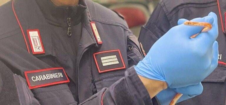 Serpente libero sul Frecciarossa, treno evacuato, il rettile catturato a Milano in stazione Centrale serpente treno