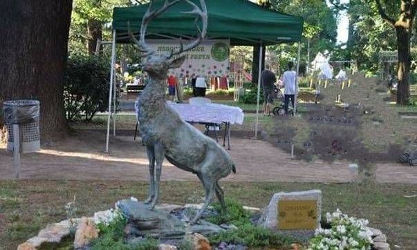 Cervo rubato a Ceriano Laghetto, denunciati due uomini di Solaro cervo