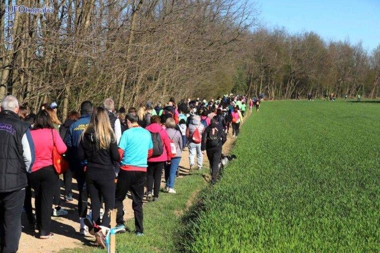 Eventi week-end: dalla “Mezza dei Boschi” alla “Marcia della fraternità”: tornano le camminate mezza di boschi 768x512