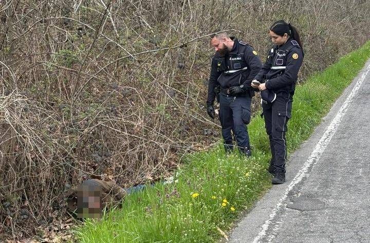 Sotto l’effetto di droga, uomo nel fossato, ragazzo ai bordi della ferrovia, allarme a Cogliate e Ceriano Laghetto Cogliate uomo fossato droga
