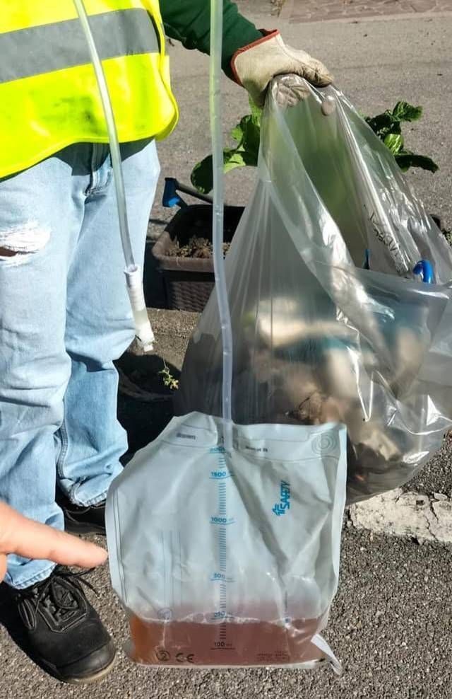 Caronno, gli Eco-volontari trovano… un catetere 488059236 2990674771081410 2484399275517615141 n 1