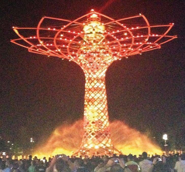 L’Albero della vita tornerà a illuminarsi Albero vita tornerà illuminarsi