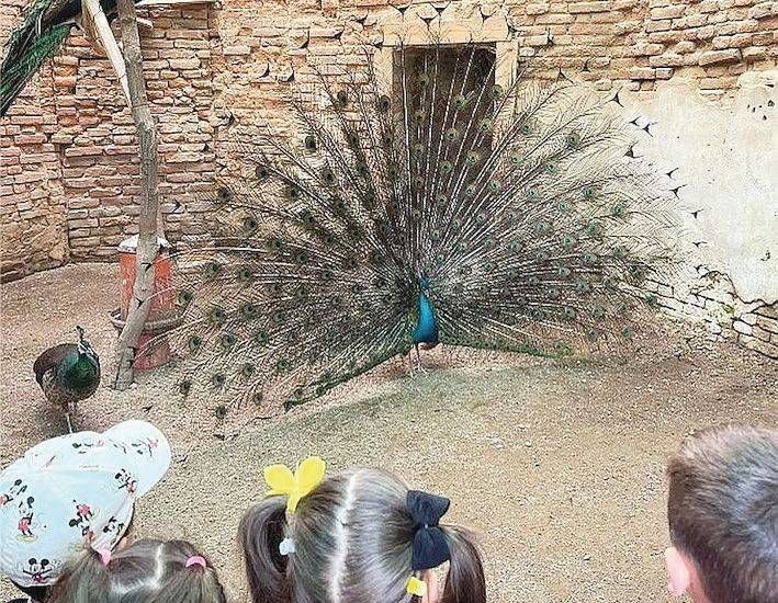 Bollate, Pasquetta? Si può trascorrere a Villa Arconati Bollate Pasquetta Villa Arconati