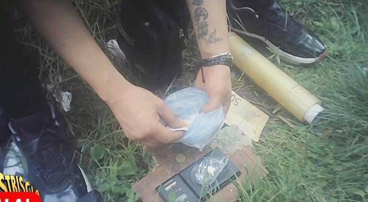 droga saronno brumotti