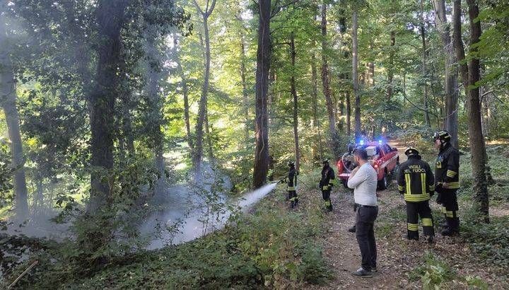 Cogliate, incendio nel bosco vicino alle case, 3 mezzi dei Vigili del fuoco sul posto incendio cogliate