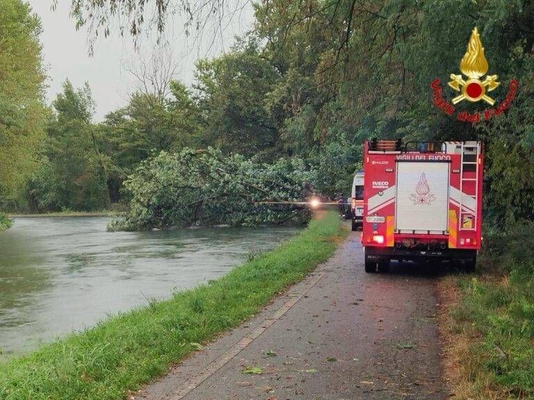 Maltempo nel nord Milano, donna morta travolta da un albero IMG 20250706 WA0026 768x576