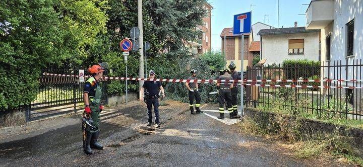 Temporale e grandine, danni e blackout a Senago, alberi caduti a Limbiate, corrente interrotta anche a Cogliate senago temporale