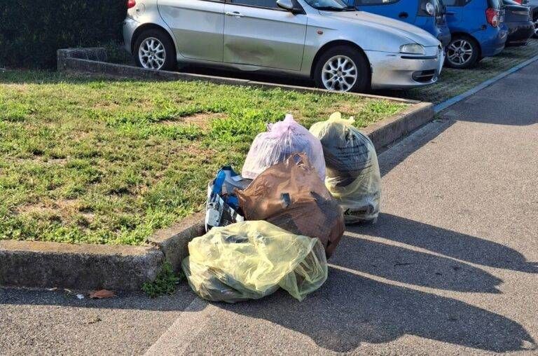 Caronno, vestiti e rifiuti abbandonati: si rischiano multe da130 euro Immagine WhatsApp 2025 08 12 ore 10.05.15 9750c1ab 768x508