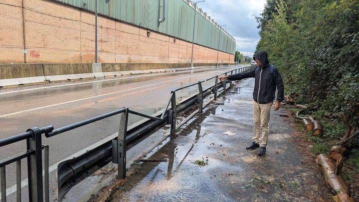 Nuovo crollo di un albero in strada tra Ceriano Laghetto e Solaro albero crolla strada ceriano