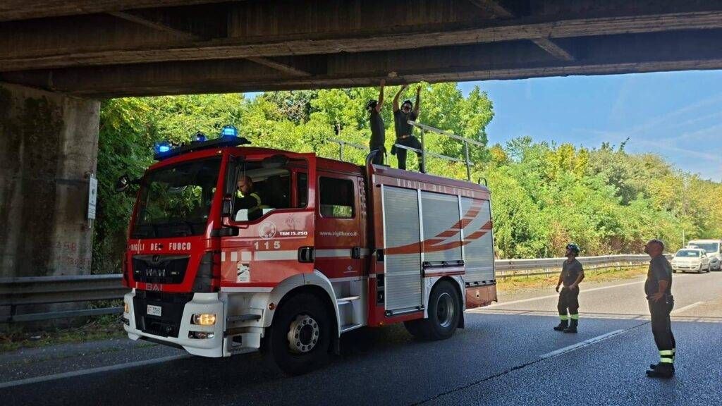 Incidente sulla Milano-Meda: chiuse la carreggiata sud e via Fermi whatsapp image 2025 08 04 at 14 07 38 1024x576