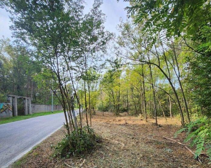 Parco delle Groane, pulizia del sottobosco per contrastare lo spaccio di droga pulizia sottobosco misinto
