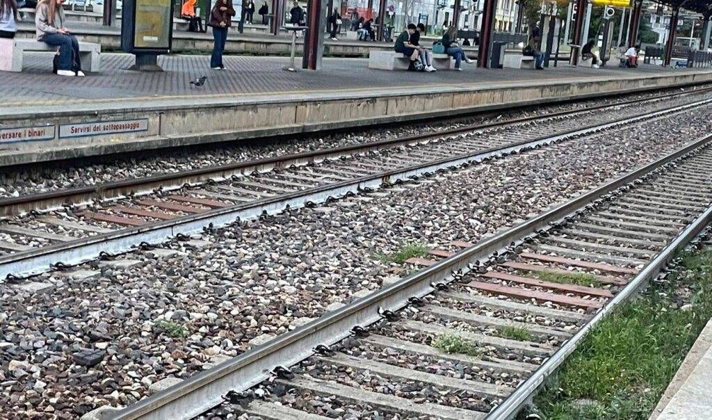 Treni, difficoltà tra Saronno e Rescaldina: ritardi e disagi per i collegamenti con Malpensa e Milano Saronno stazione ritardi treno