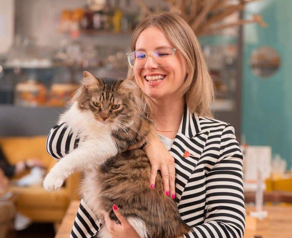 Da Solaro a Milano, passando per il Giappone: il “Crazy Cat Cafè” ha festeggiato dieci anni Solaro Milano Gatti Crazy Cat Cafe