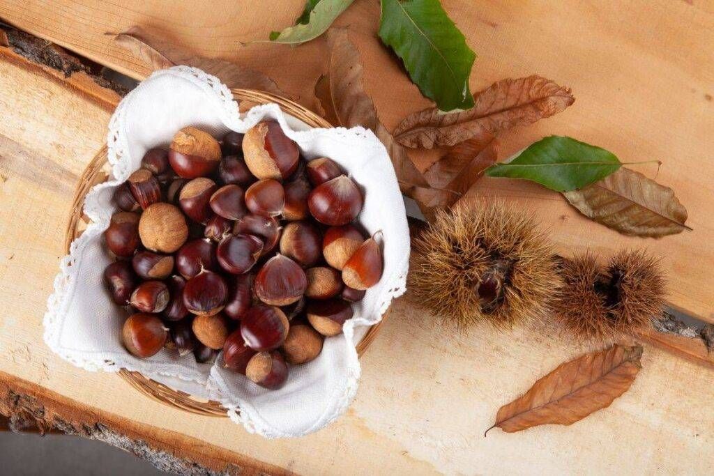Eventi week-end: “Fiera d’Autunno” con le castagne a Solaro e concerto “Rapsodia d’Autunno” a Cesate castagne 1024x683