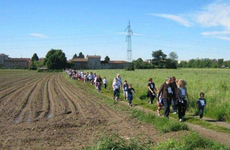 Eventi week-end: 47ª “Caminada di Semper Verd de Bulaa”a Bollate e “Festa di San Francesco” a Cesate semper verd Bollate 768x502