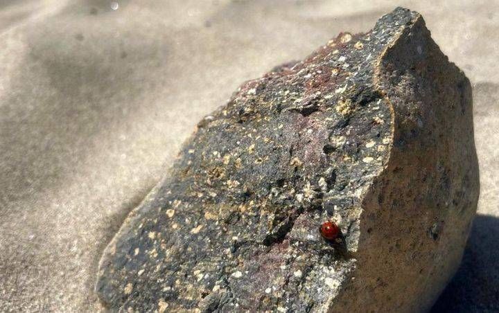 La resilienza di Elena e la paura che il figlio cresca senza mamma elena resilienza