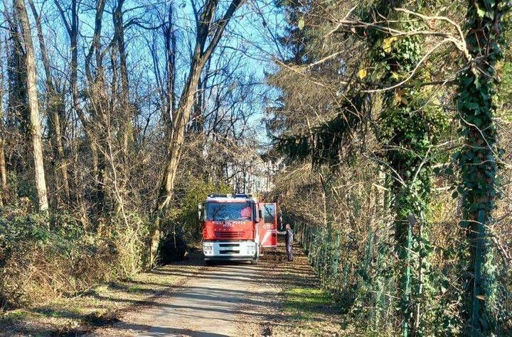 Cadavere nel bosco del Parco delle Groane, operazioni di riconoscimento in corso cadavere bosco Groane