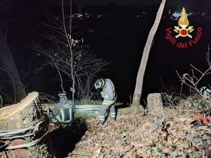 Schiacciato da una pianta che stava tagliando nel bosco, 70enne trovato morto dai soccorritori figino serenza morto schiacciato pianta