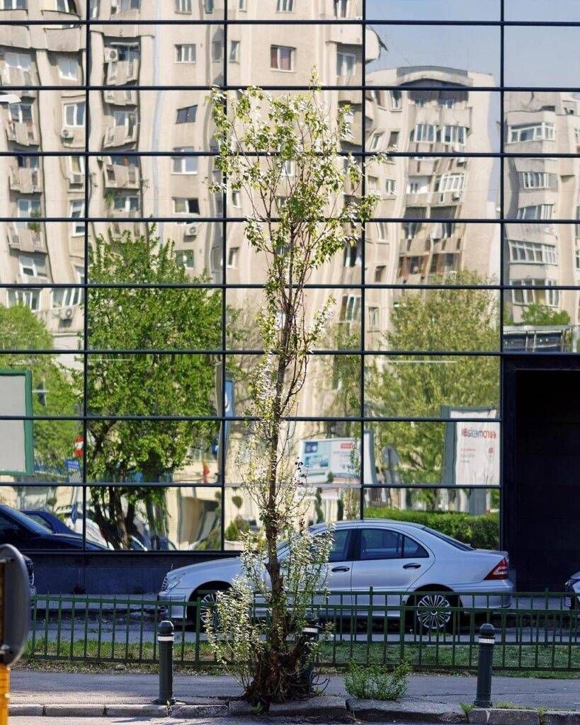 Perché la tua auto non supera i test sulle emissioni e come prevenirlo facade 5068783 1280 819x1024