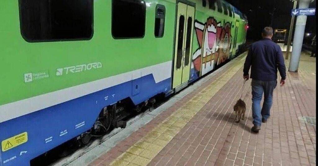Paderno, cane dimenticato sul treno: i ferrovieri lo consegnano alla proprietaria a Cormano Cane dimenticato sul treno