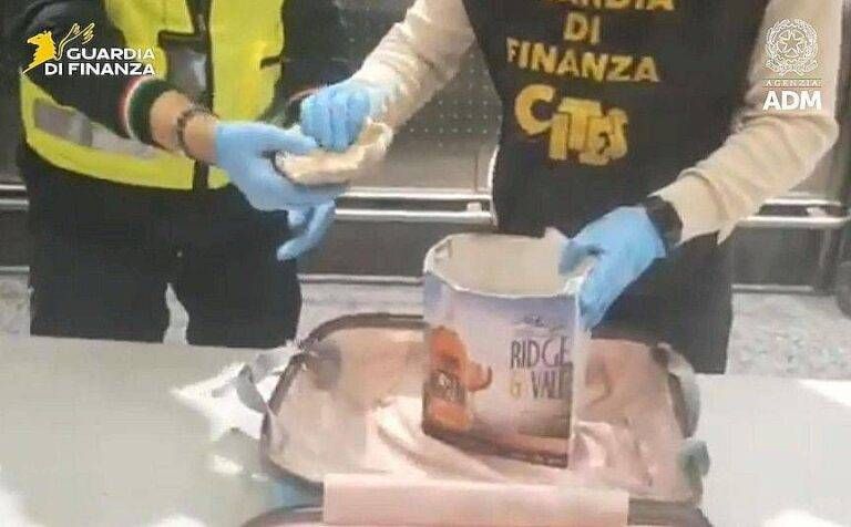 Dalle Mauritius con coralli protetti in valigia: maxi multa per 2 turisti italiani a Malpensa coralli Malpensa Mauritius