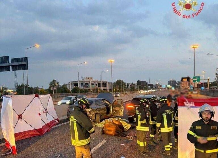 Serata di paura a Monza: cavalli in fuga in galleria, scontro con tre auto, morto un animale cavallo investito monza incidente