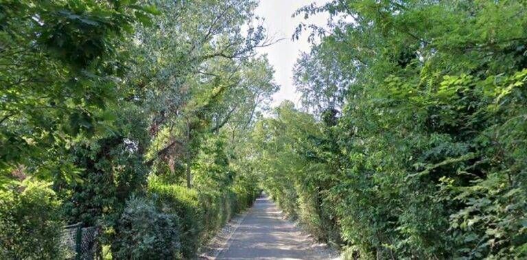 Giallo a Bollate: trovato il cadavere di un uomo nel bosco di via Fametta cadavere nel bosco alla Fametta di Bollate
