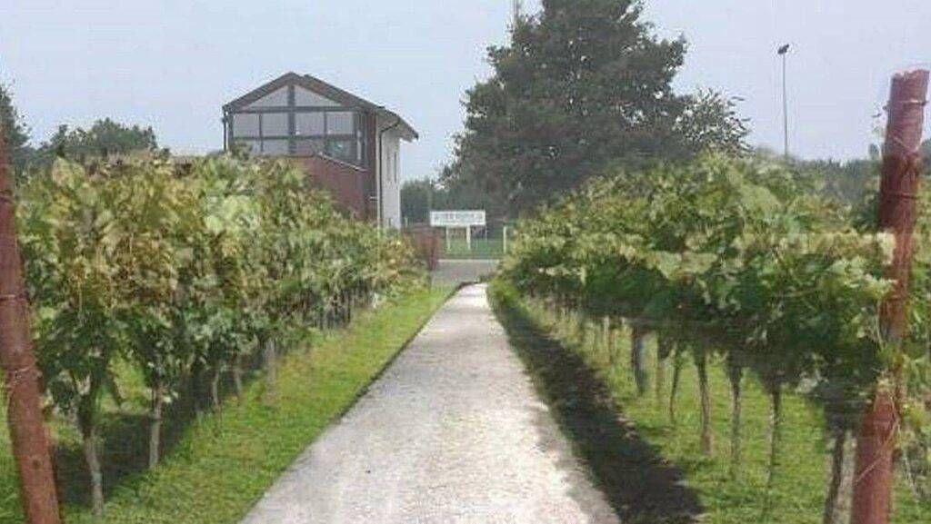 Saronno, il ristoro di Cascina della Vigna, progetto sociale e porta sul Parco del Lura saronno cascina vigna