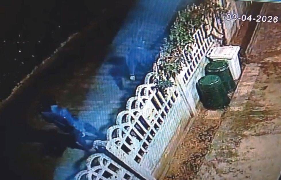 I ladri “ninja” di Cesate filmati di nuovo: fuggono nei campi ladri ninja Cesate filmati